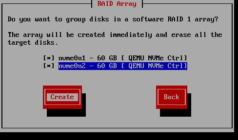 Software RAID selection